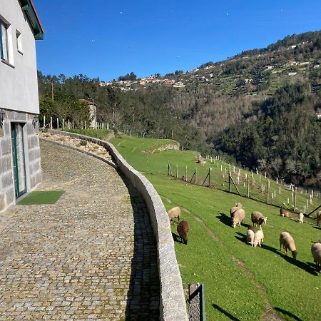 Quinta De Varzielas - Agroturismo Castelo de Paiva Exterior foto