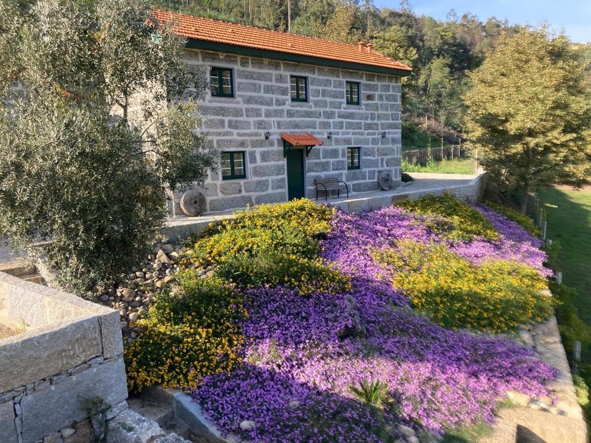 Quinta De Varzielas - Agroturismo Castelo de Paiva Exterior foto